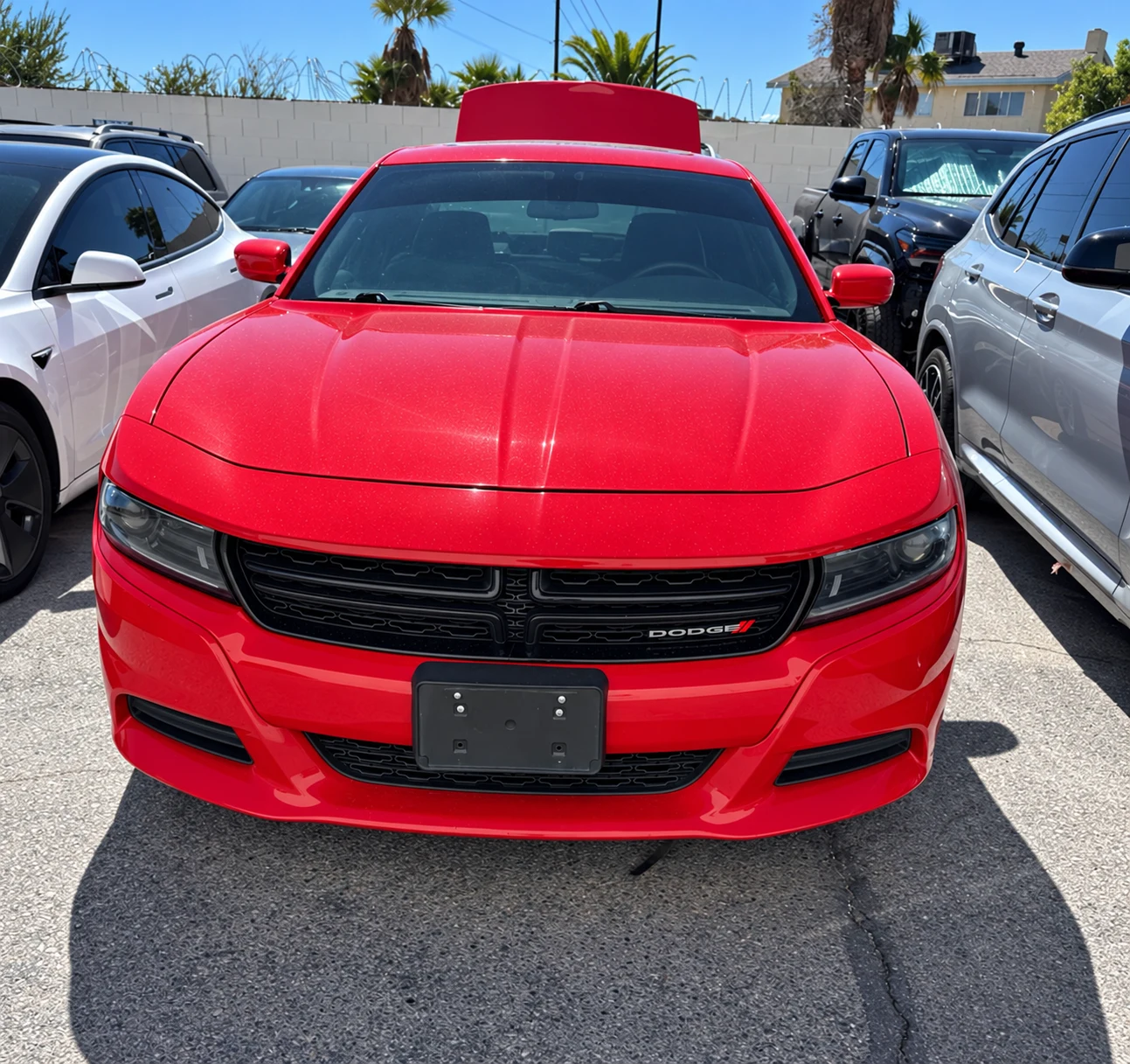 Red Dodge Charger at Universal Motorcars in Las Vegas, front view